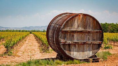 Viñedos en Corrella, en Navarra.