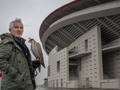 Jorge Castaño Romero, junto al halcón Fernando Torres en el estadio Metropolitano.