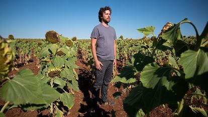 Daniel Trenado, en el cultivo que gestiona en Badajoz.