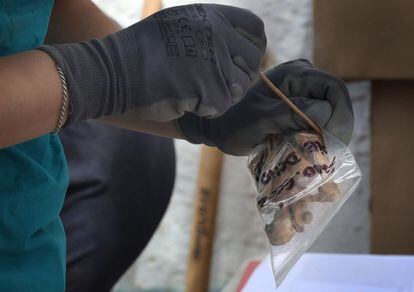 Todos los restos hallados en la fosa se examinarán en un laboratorio para poder identificarlos por ADN y entregárselos a sus familiares.