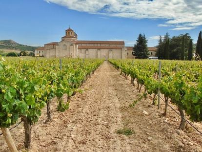 beyond the rows of grape vines, the 12th century valbuena abbey (monasterio de santa maría de valbuena) sits on the right bank of the river duero and was declared a national monument in 1931.