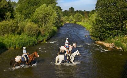 Caballos cruzando el río Segre en Puigcerdà (Girona).