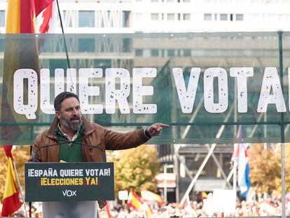 El líder de Vox, Santiago Abascal, en la concentración convocada por su partido este domingo en Madrid.