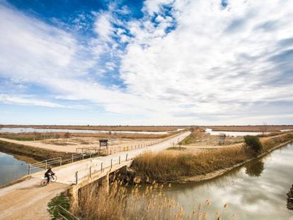 El paisatge del Delta és protagonista dels relats, els llocs canvien com canvien les maneres de viure-hi. 