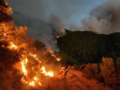 Bomberos forestales luchan por apagar las llamas en el incendio de Sierra Bermeja (Málaga), el 18 de septiembre.