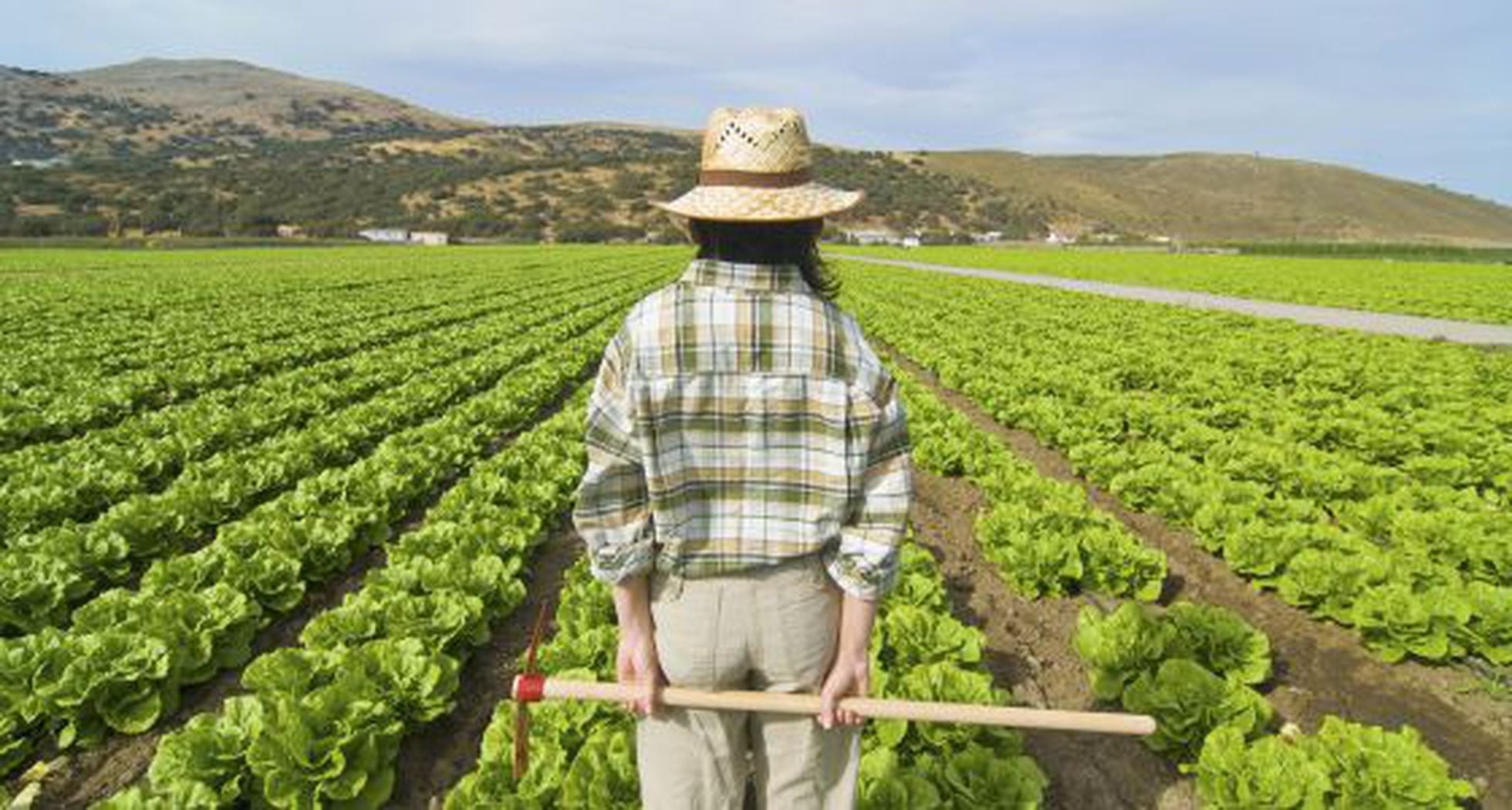 Papa Quiero Ser Agricultor Sociedad El Pais