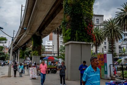 Los jardines verticales hacen ya parte del escenario de la capital antioqueña.