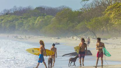 Surfistas en la playa de Santa Teresa, en Costa Rica.