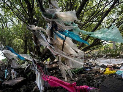 Restos de bolsas de plástico en la costa de Shánghai, en 2018. 