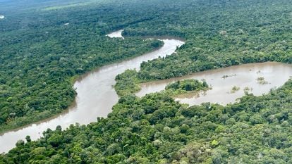 río Puré, en el Amazonas