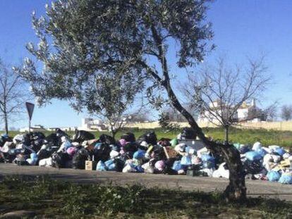 Fotograf&iacute;a cedida por el Ayuntamiento de El Coronil (Sevilla) que muestra la basura acumulada por la huelga. 
