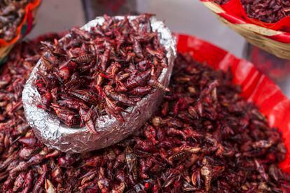Comer unos 100 gramos de saltamontes como estos chapulines a la venta en el mercado Benito Juárez, de Oaxaca, México, permitiría sustituir las proteínas ofrecidas por una ración media de carne.