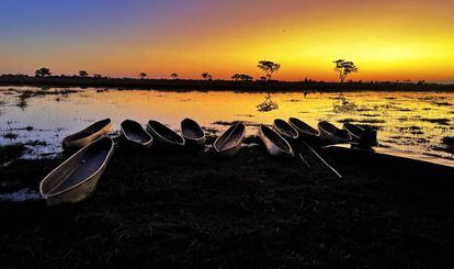 'Mokoros' en la orilla de un canal del delta del Okavango (Botsuana), al atardecer.