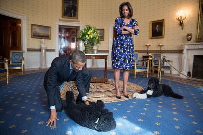 5 Noviembre de 2013. Barack y Michelle con Sunny and Bo, esperando a unas visitas en el salón azul.