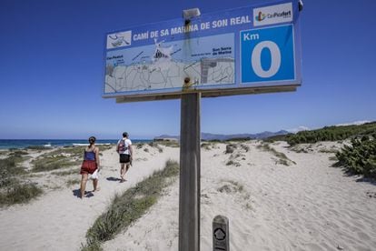 El camino a la playa pública de Son Real, en el litoral del municipio de Santa Margarita, en Mallorca.