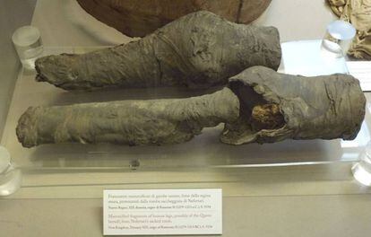 Los restos momificados de las piernas de la reina Nefertari