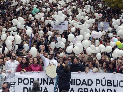 Protesta celebrada en Granada el pasado d&iacute;a 27 de noviembre.
