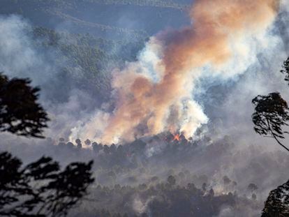 Efectivos de la UME y el Infoca continúan las labores de extinción del incendio forestal en el paraje de Olivargas de Almonaster la Real (Huelva).