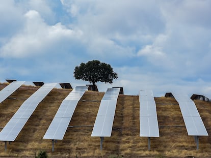 Vista de la planta fotovoltáica de Ceclavin (Cáceres).