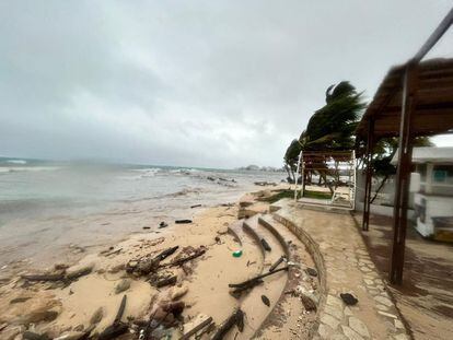 El viento golpea las palmeras antes de la tormenta tropical Julia en la isla de San Andrés, Colombia, el 8 de octubre de 2022.