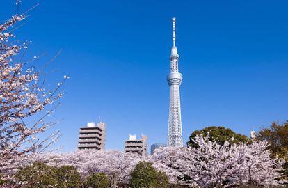<b>SKYTREE, TOKIO (JAPÓN) / NIKKEN SEKKEI. </b>Acabada en 2012, esta torre de radiodifusión en el barrio de Sumida fue bautizada Tokyo Skytree (Árbol en el cielo de Tokio) por votación popular. Mide 634 metros y tiene dos miradores a 350 y 450 metros de altura, siendo el segundo uno de los más altos del mundo.