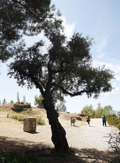 Dos personas paseaban ayer por el Parque García Lorca de Alfacar (Granada).