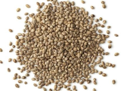 Las semillas de cáñamo o cañamones se consideran un superalimento.