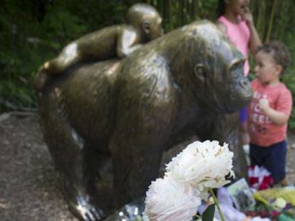 La polémica en torno a la muerte de Harambe en Cincinnati refleja la fascinación por los animales más cercanos a nosotros