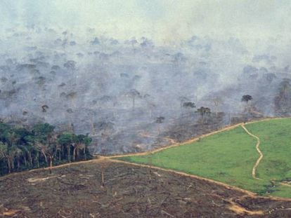 Vista a&eacute;rea de la selva del Amazonas donde se pueden apreciar los efectos de la deforestaci&oacute;n. &nbsp;