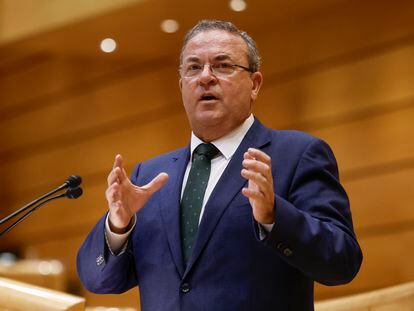 El senador del PP José Antonio Monago, en una intervención en el pleno del Senado, el pasado 12 de diciembre.