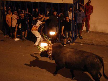 'Bou embolat' en Amposta, en 2018.