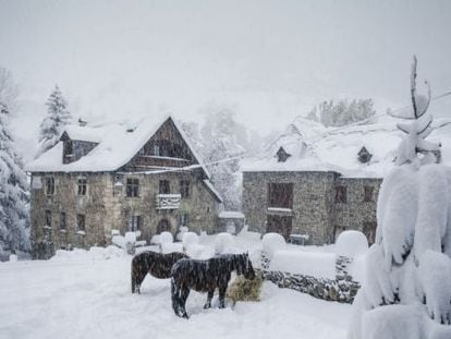 La nieve llega al Pirineo.