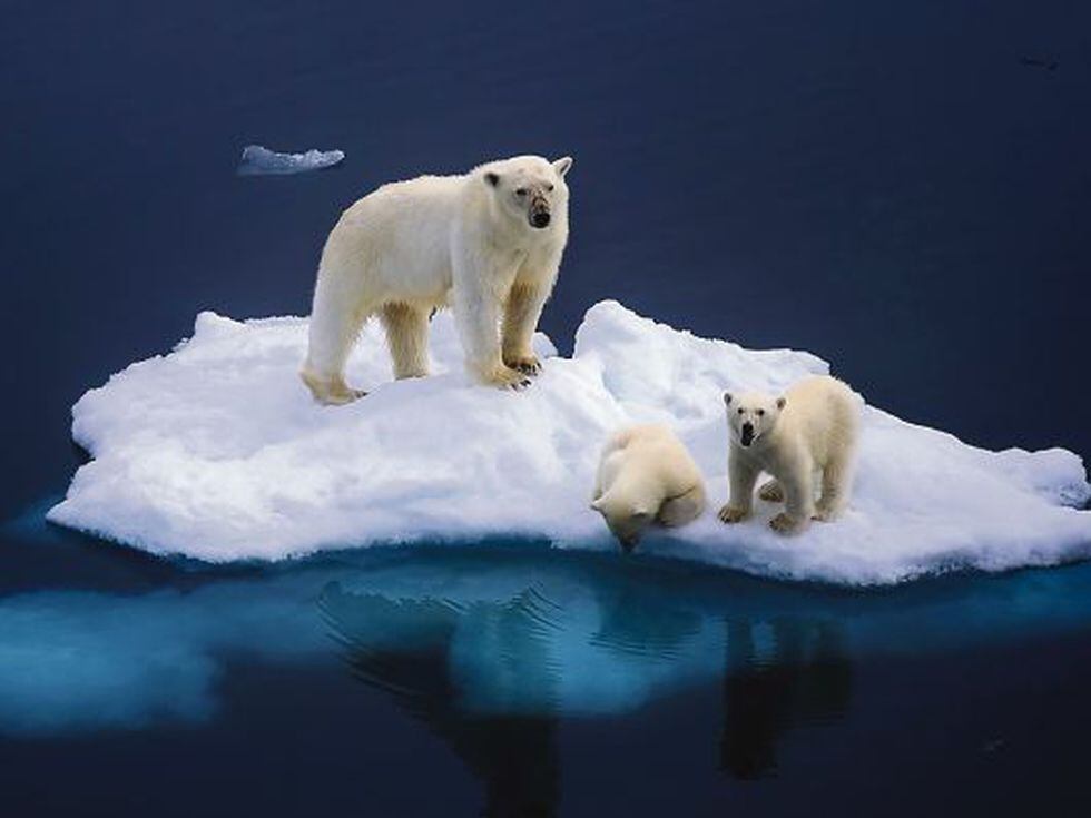 El Ártico: menos hielo y más intereses económicos | Sociedad | EL PAÍS