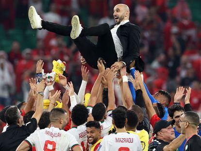 Morocco's coach #00 Walid Regragui is thrown into the air as his players celebrate winning the Qatar 2022 World Cup Group F football match between Canada and Morocco at the Al-Thumama Stadium in Doha on December 1, 2022. (Photo by Fadel Senna / AFP)