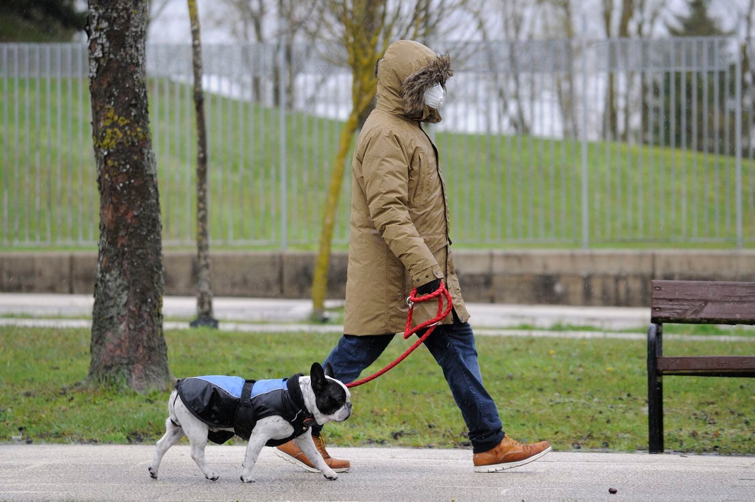 Una persona pasea a su mascota por Vitoria.