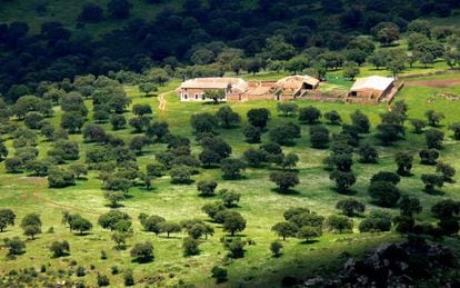 Paisaje de la dehesa en el valle de Alcudia, en Ciudad Real. 