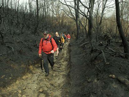 Ruta de los comuneros del Xur&eacute;s por la zona que ardi&oacute; a finales de marzo. 