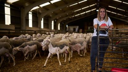 Hodei Flores, 'agroinfluencer', en el corral con sus ovejas.