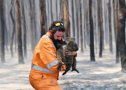 Simon Adamczyk, con un koala rescatadode un bosque en llamas cerca del cabo Borda en la isla Canguro (Australia), el 7 de enero.