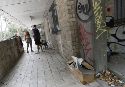 Dos de los actuales residentes del Johnny en el patio del colegio mayor con sus perros.