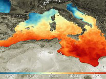 Con la ayuda de los datos tomados desde sat&eacute;lites, los expertos determinan, d&iacute;a a d&iacute;a, la temperatura de la superficie del mar, el Mediterr&aacute;neo en este caso. 