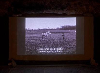 Fotograma de la obra de Marine Lahaix 'How to Break a Horse', que forma parte de la exposición 'Jardín de mixturas', de Alejandra Riera.

