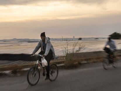 Los inmigrantes se desplazan en bicicleta entre los invernaderos de el Ejido.