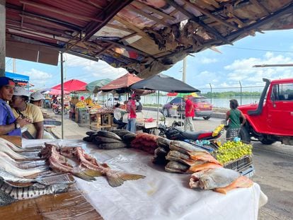 Mercado de Bazurto en Cartagena de Indias (Colombia), este martes.