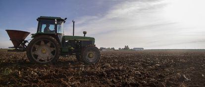 Un agricultor siembra trigo en una finca de Sevilla