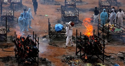 Piras funerarias, este lunes a las afueras de Bangalore (India).