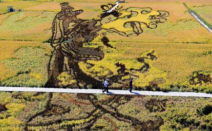 Una imagen de la belleza tradicional china creada usando diversas variedades de arroz se ve en un campo durante la estación de la cosecha en Shenyang, en la provincia noreste de Liaoning (China).