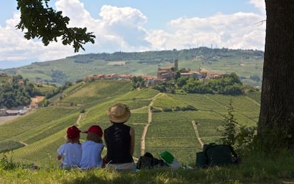 Panorámica de los viñedos de Langhe, en la región del Piamonte (Italia), con el pueblo de Castiglione Falletto al fondo.