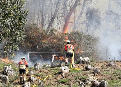 arios bomberos trabajan en las labores de extinción del incendio registrado la pasada noche en el Monte Naranco de Oviedo.
