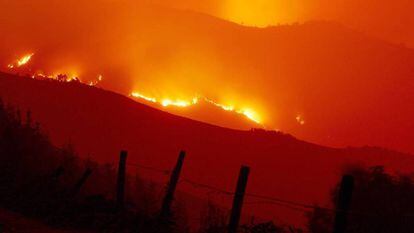 Llamas del incendio forestal que afecta a la zona de la Reserva Natural de los Ancares (Galicia)